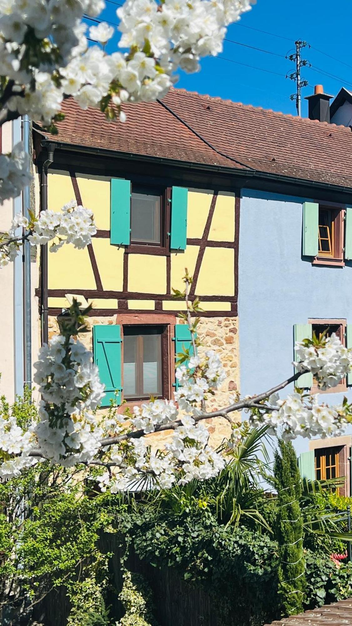 Gite Le Coq Rouge Eguisheim Esterno foto