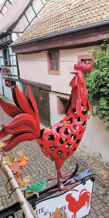 Gite Le Coq Rouge Eguisheim Esterno foto